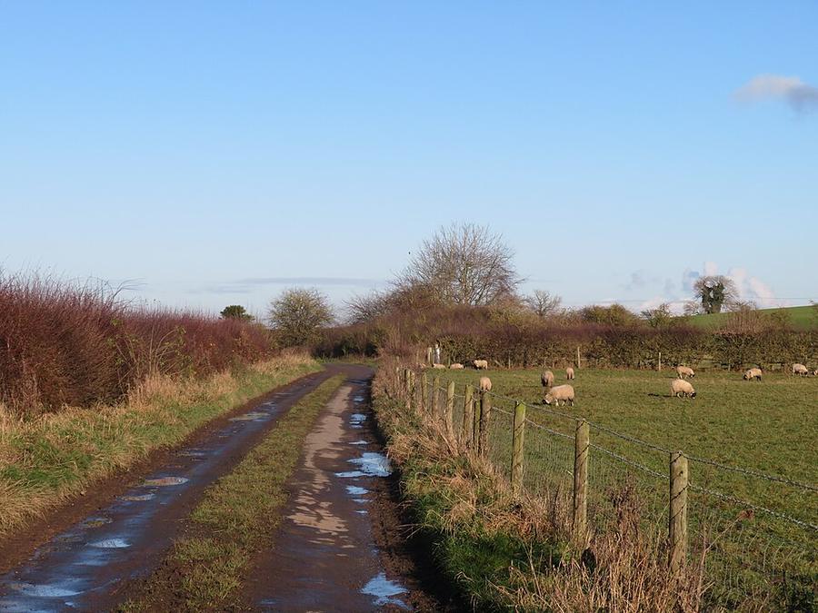 Low Moor Lane - geograph.org.uk