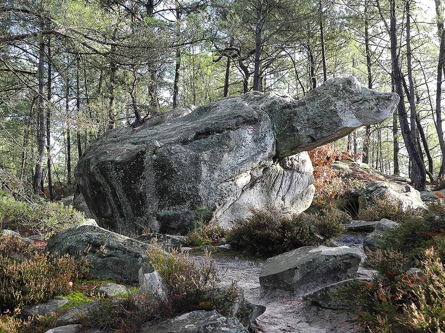 View near Fontainebleau
