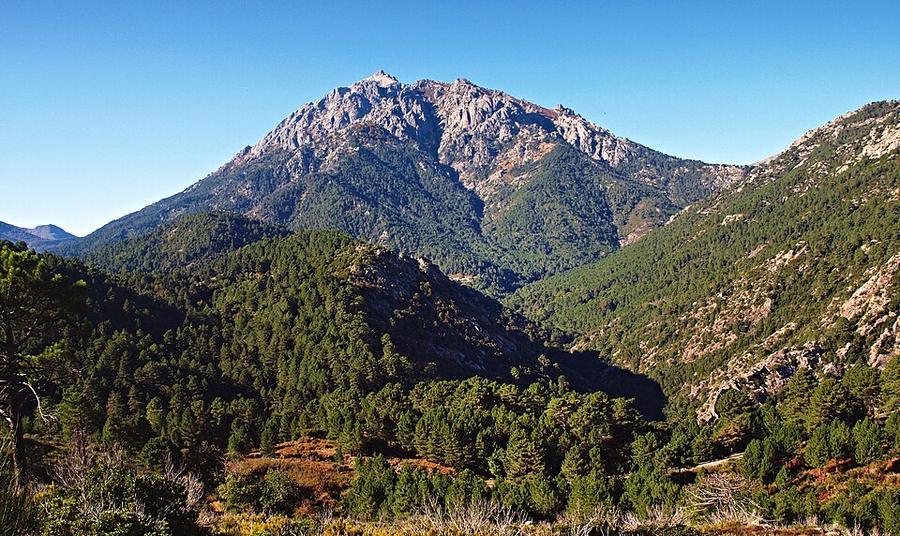 Vivario-Monte d'Oro