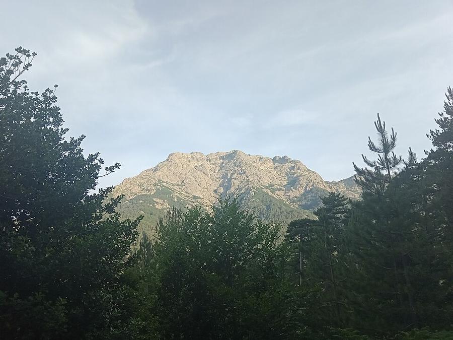 Monte d'Oro Alzarella