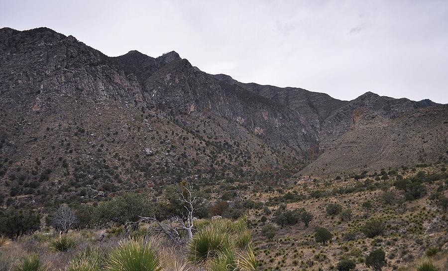Pine Springs Canyon below Guadalupe Peak