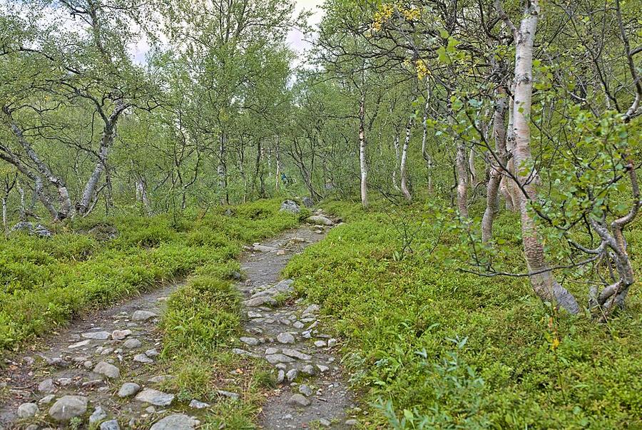 Valley between Tarfala and Ladtjovagge