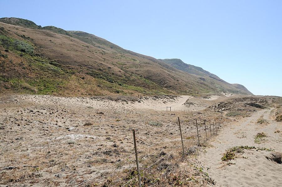 Lost Coast Trail