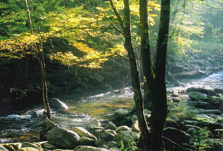 Smokemont Campground, Smokie Mountains NP, Gatlinburg, TN - panoramio