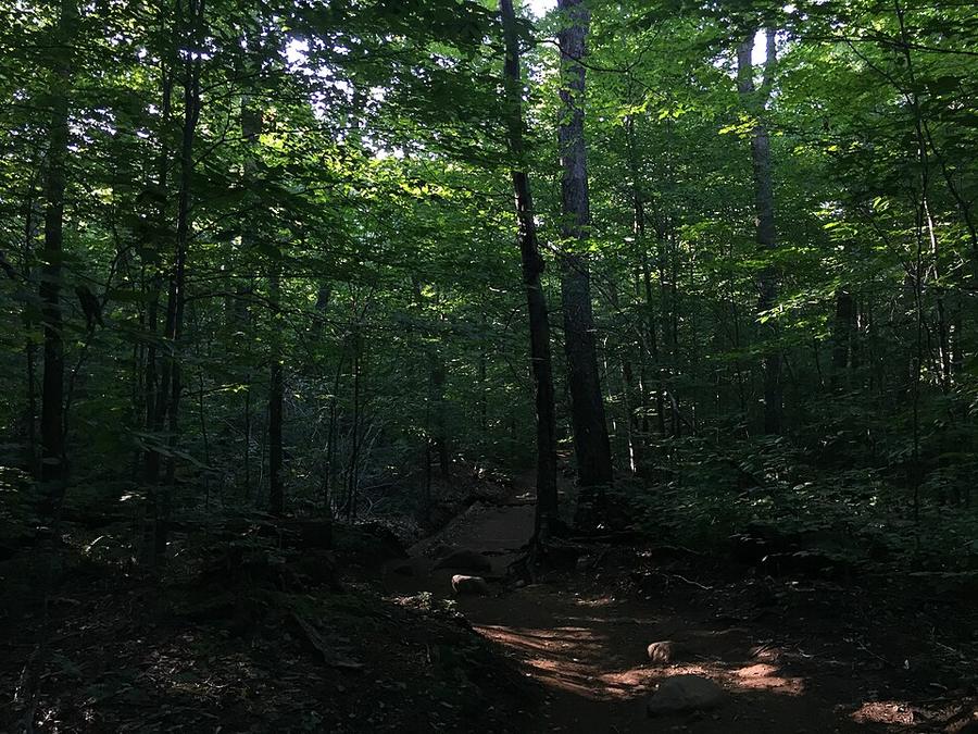 View north along the Van Hoevenberg Trail about . miles south of the trailhead in North Elba, Essex County, New York