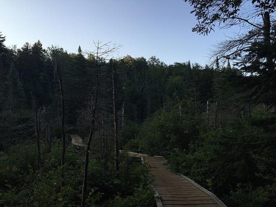 View south down the Van Hoevenberg Trail as it crosses a marshy stream on a boardwalk about . miles south of the trailhead in North Elba, Essex County, New York