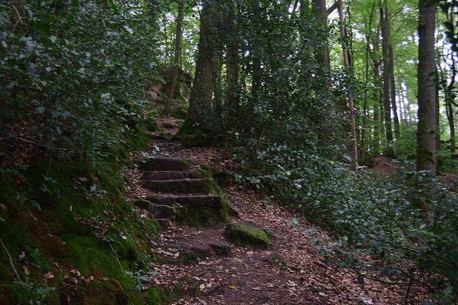 Mullerthal Hiking Trail C5