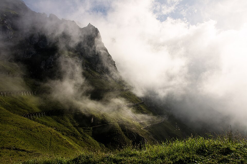 Fog over green terraces