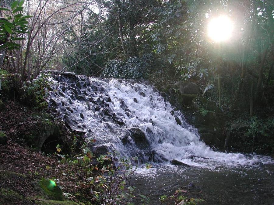 Waterfall in Marlay Park