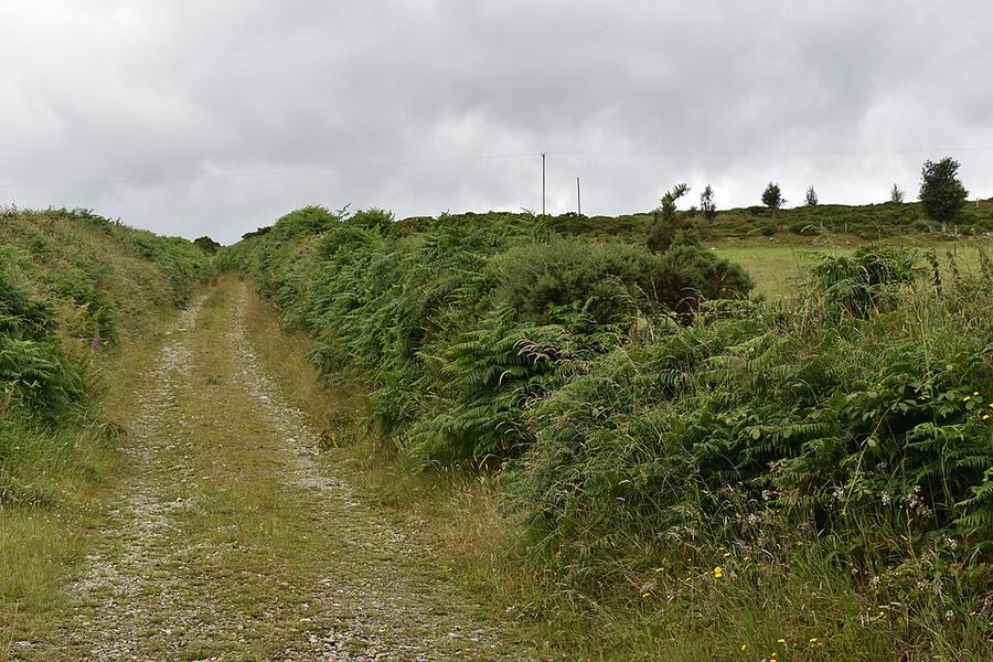 Track to the moor - geograph.org.uk